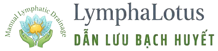 Chăm Sóc Hệ Bạch Huyết – Dinh Dưỡng &amp; Sức Khỏe