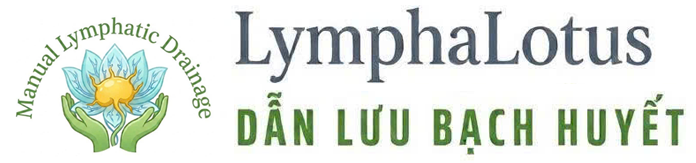 Chăm Sóc Hệ Bạch Huyết – Dinh Dưỡng &amp; Sức Khỏe